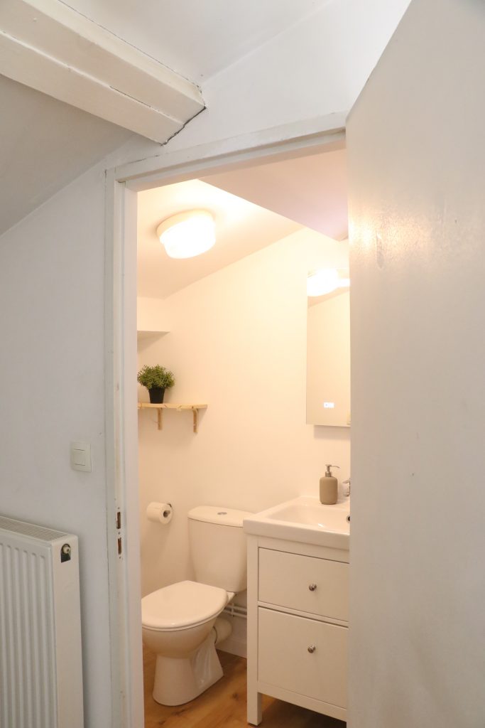 Salle de bain du grand appartement lumineux proche de Bordeaux dans l'entre deux mers, à Camblanes et Meynac
